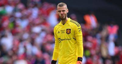 David De Gea issues three-word update on his future as ex-Manchester United star makes guarantee