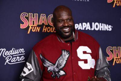 Ever Wondered What Shaquille O'Neal Would Have Looked Like Playing Hockey? Thanks To TNT, We Now Have An Idea - foxnews.com - New York