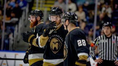 Newfoundland Growlers won't finish the season as membership in ECHL terminated