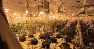 How a huge illegal cannabis farm has actually helped to improve a town - manchestereveningnews.co.uk - county Ross