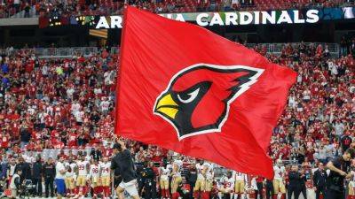 Ex-Cardinals VP Terry McDonough sues team, owner for defamation - ESPN