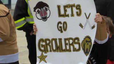Newfoundland Growlers fans gather for final goodbye to their favourite team