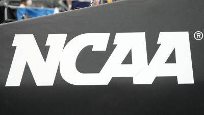 NCAA faces calls to ban trans athletes from competing in women's sports after NAIA's decision: 'Your move'