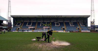 Tony Docherty - Dundee reveal pitch improvement plan as Rangers fiasco sparks 'considerable investment' in Dens Park surface - dailyrecord.co.uk
