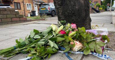 Teenager who was stabbed and killed in London named