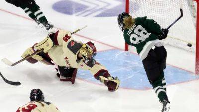 Ann Renée Desbiens - PWHL Boston becomes 1st team to reach Walter Cup final after completing sweep over Montreal - cbc.ca