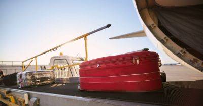 Theory about 'why red bags are loaded on to planes first' causes stir online
