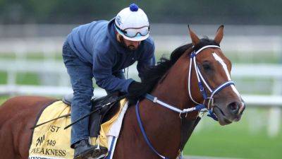 How to bet Preakness Stakes 2024: Horses, odds, favorites, tips - ESPN