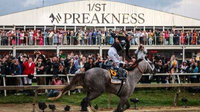 Bob Baffert - Seize the Grey wins Preakness Stakes, denies Mystik Dan - ESPN - espn.com - county Belmont