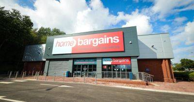 Home Bargains shoppers rave about 'romantic' £4 garden item that's perfect for summer evenings