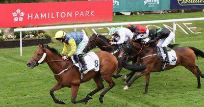 Royal Ascot - Hamilton Park primed for opening day as future racing stars set to be unleashed again - dailyrecord.co.uk - Guinea - county Hamilton - county Ashley - county Park
