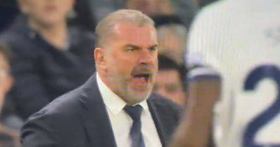 Ange explodes at Tottenham flops as he screams 'stop passing it f****** backwards' in repeat of Celtic rage
