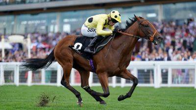 Richard Hannon heading to Irish 2,000 Guineas with Rosallion and Haatem