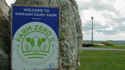 The Farm Zero C project aims to set up a climate-neutral profit-making dairy farm – is it possible? - euronews.com - Spain - Jersey