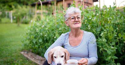 There’s no place like home: How a live-in carer can help you stay in the place you love - manchestereveningnews.co.uk