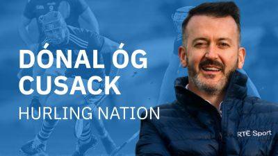 Joe Macdonagh - Hurling nation: Familiar provincial finalists set to emerge on last big weekend of the summer - rte.ie - county Park