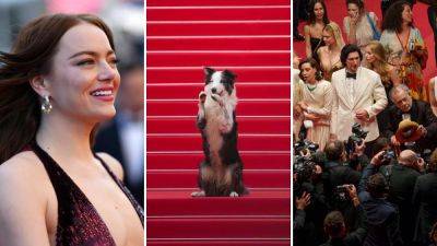 Cannes Film Festival 2024 in photos: 15 unforgettable red carpet moments - euronews.com - Russia - France