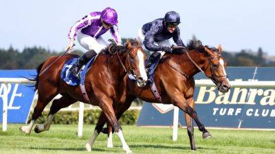 Diego Velazquez heading for Prix du Jockey Club at Chantilly - rte.ie - Qatar - France - Guinea