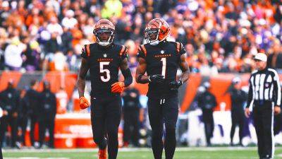 Joe Mixon - Bengals' Ja'Marr Chase, Tee Higgins reportedly absent from voluntary OTAs - foxnews.com - state Tennessee - county Boyd - county Tyler - county Irwin