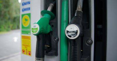 RAC warns drivers are paying the highest diesel prices in Europe