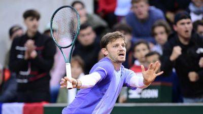 David Goffin - Alexander Zverev - David Goffin claims spectator spat chewing gum at him during French Open match - rte.ie - France - Belgium