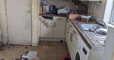 Man banned from keeping animals after leaving dogs for days in ‘faeces-strewn’ house