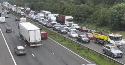 Police incident brings M4 traffic to a standstill - walesonline.co.uk