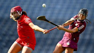 Camogie senior championship round 2: All you need to know