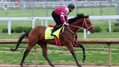 How to bet Kentucky Derby 2024: Horses, odds, favorites, tips - ESPN