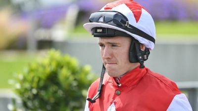 Paddy Power - John Murphy - Keane steers White Birch to victory at the Curragh - rte.ie - Ireland