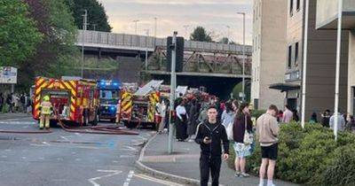 Four taken to hospital after Swansea student block fire