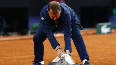 Umpire swoops to rescue injured pigeon at French Open