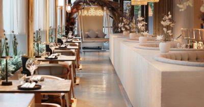 Police find GUN and suspected drugs at glitzy celeb launch night of Habbibi restaurant in Manchester - manchestereveningnews.co.uk