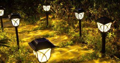 Amazon shoppers praise 'lovely and bright' £22 solar powered garden pathway lights perfect for any summer weather come rain or shine