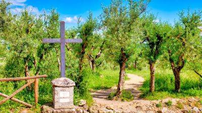 Completed the Camino de Santiago? Here are some alternative walking routes to try - euronews.com - Spain - Portugal - Romania - county Christian - Greece - parish St. James