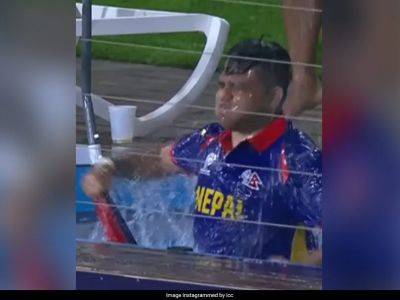 Watch: Nepal Fan Jumps Into Pool To Celebrate Bangladesh Star's Wicket In T20 World Cup Match