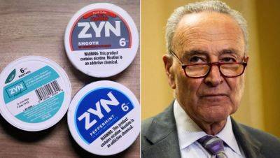 Conservative groups launch 6-figure campaign to defeat Dem crackdown on Zyn: 'Save our pouches' - foxnews.com - Sweden - Usa - state North Carolina