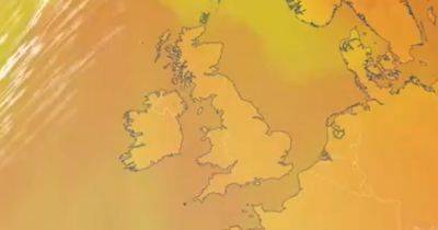 Will UK get heatwave next week? BBC Weather expert gives verdict