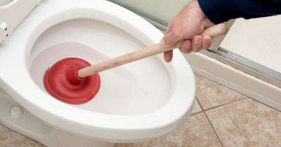Warning from UK plumber as common bathroom flushing habit could lead to costly repairs