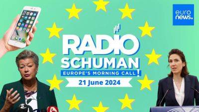 What future for the liberals in the European Parliament? | Radio Schuman