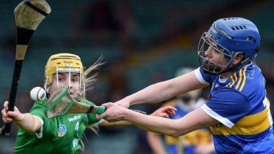 Camogie senior championship round 4: All you need to know