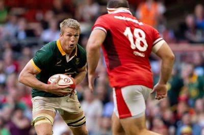 Jesse Kriel - LIVE | Springboks 14-13 Wales - news24.com - Jordan