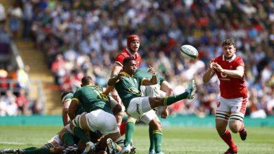 Depleted South Africa ease to 41-13 win over Wales