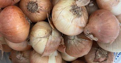 'I bought a mystery food box from Morrisons - and got 72 onions'