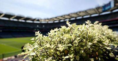 Sunday sport: Tailteann Cup semi-finals, Cork and Louth battle for quarter-final spot