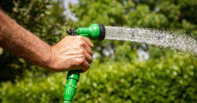 How to protect your garden during the heatwave as temperatures soar
