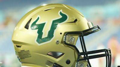 Julio Aguilar - USF tight end, 20, dead after car crash in Minnesota - foxnews.com - state Minnesota - state Texas