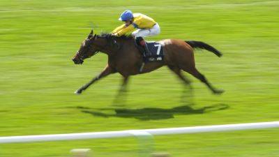 Stay Alert ready for Pretty Polly redemption at The Curragh