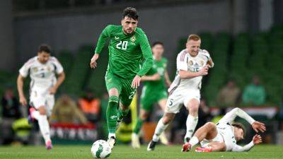'Time stood still' - John O'Shea sees hard work reap rewards for Ireland