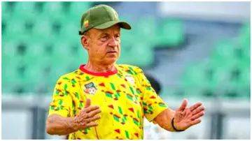 Gernot Rohr ‘constructs special cage’ for Eagles in Abidjan